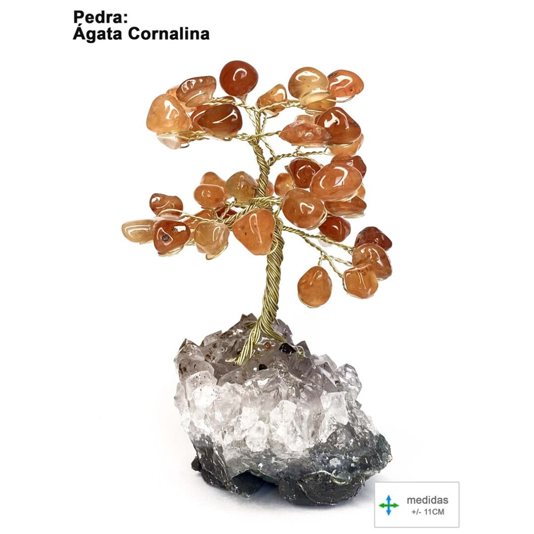 Árvore da Felicidade em Cornalina