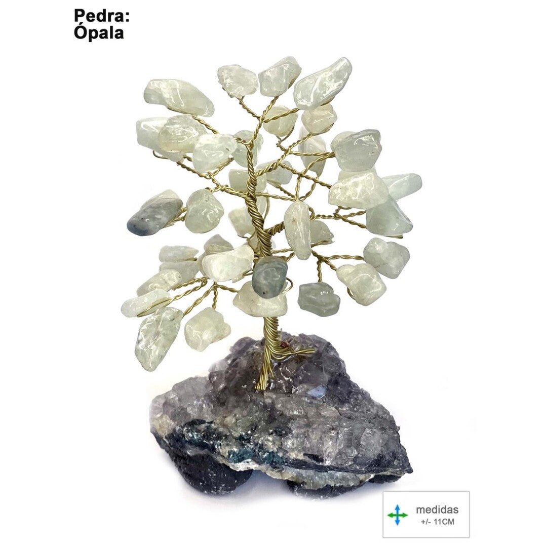 Árvore da Felicidade em Opalina