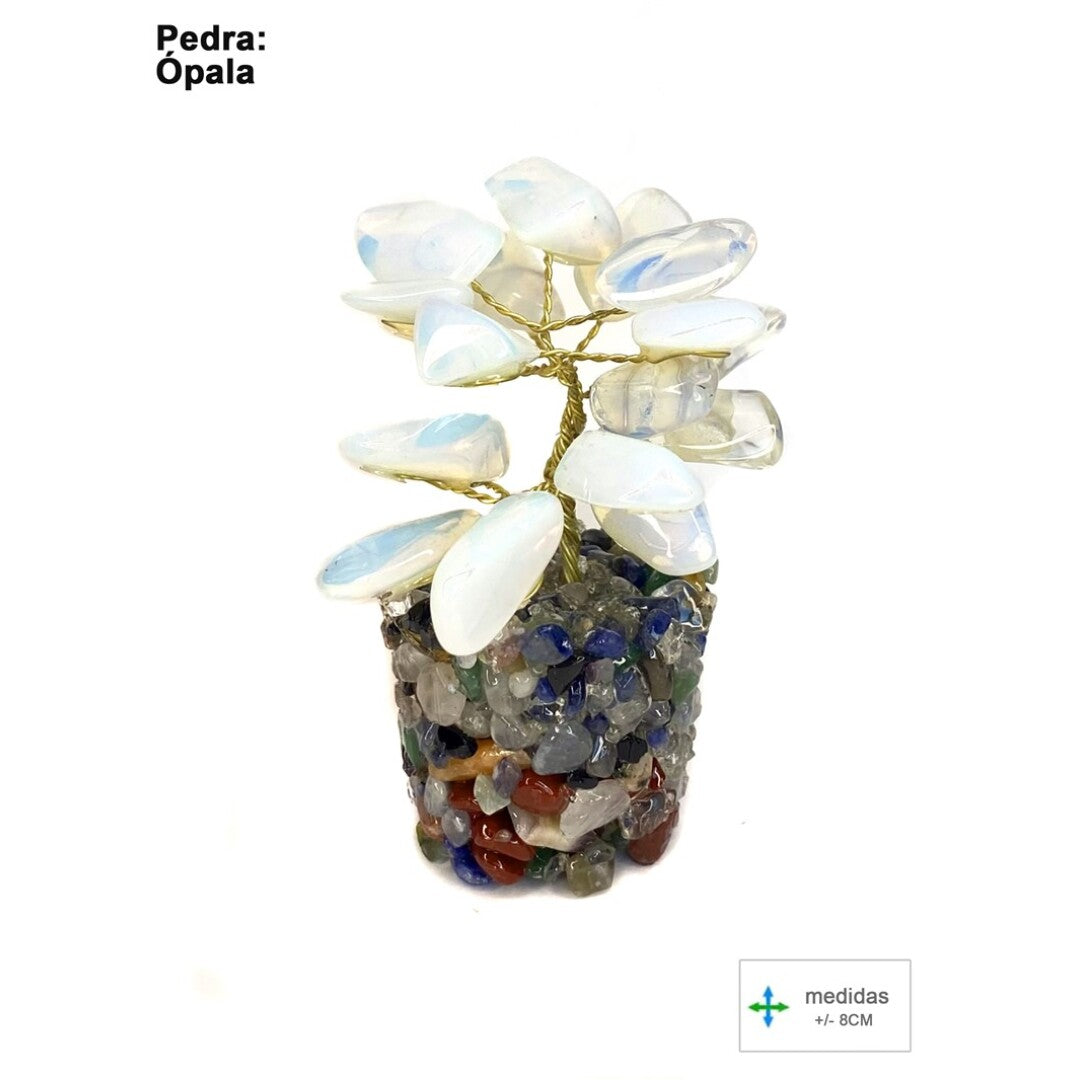 Árvore da Felicidade em Opalina