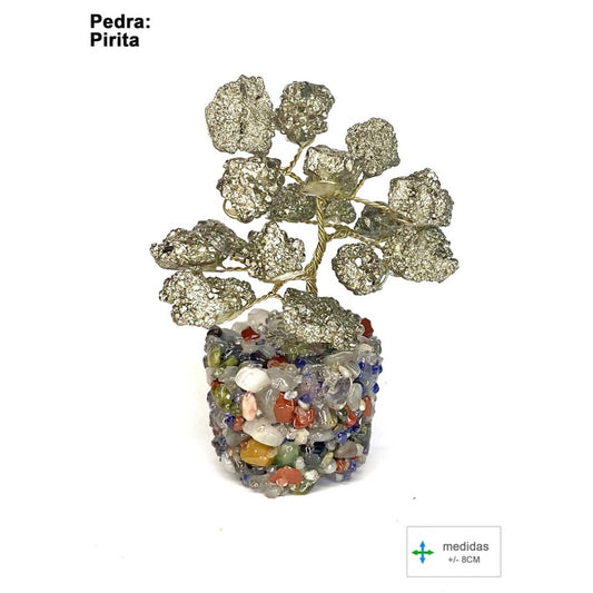 Árvore da Felicidade em Pirite