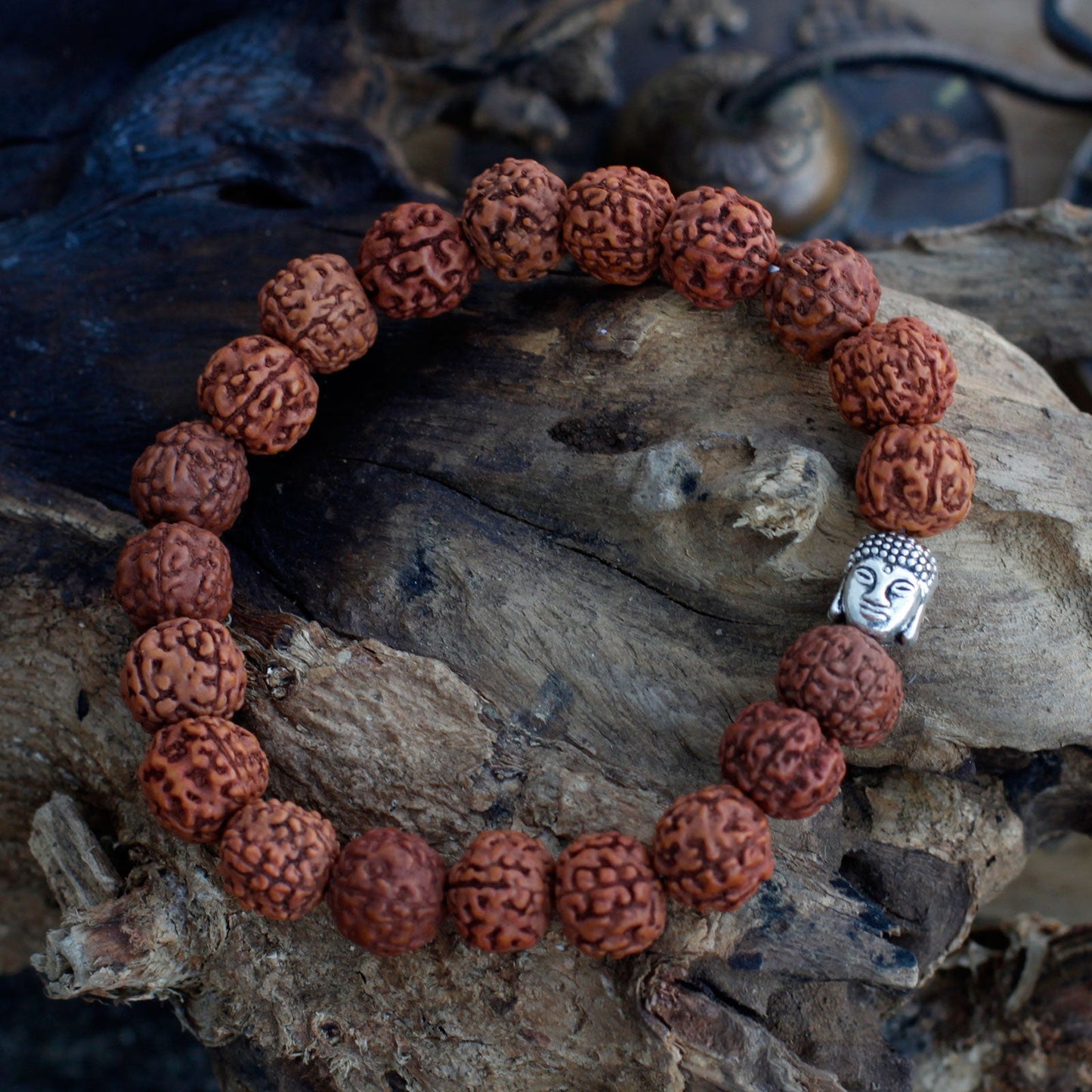 Buda | Rudraksha